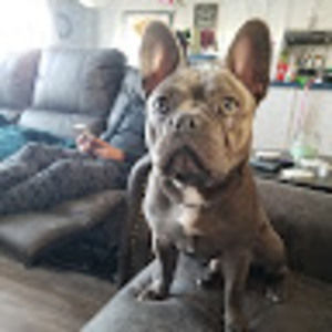 Meet your Posher, Colin